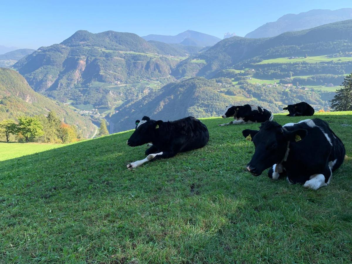Villa Floris Bressanone Esterno foto